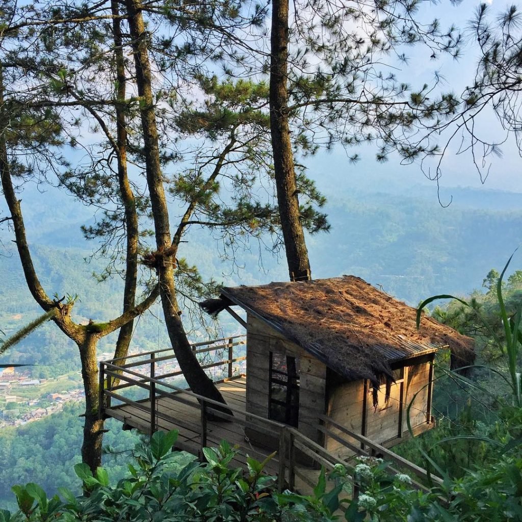 wisata rumah pohon